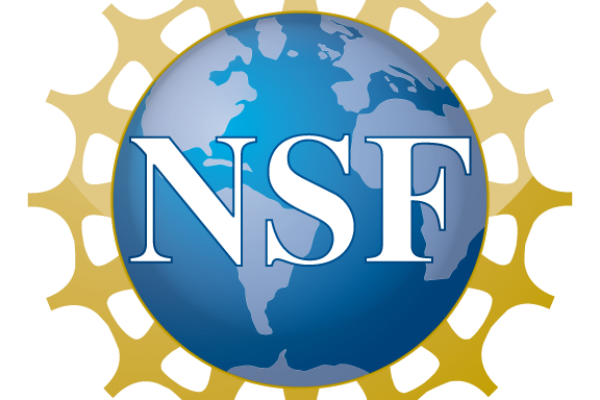 NSF logo